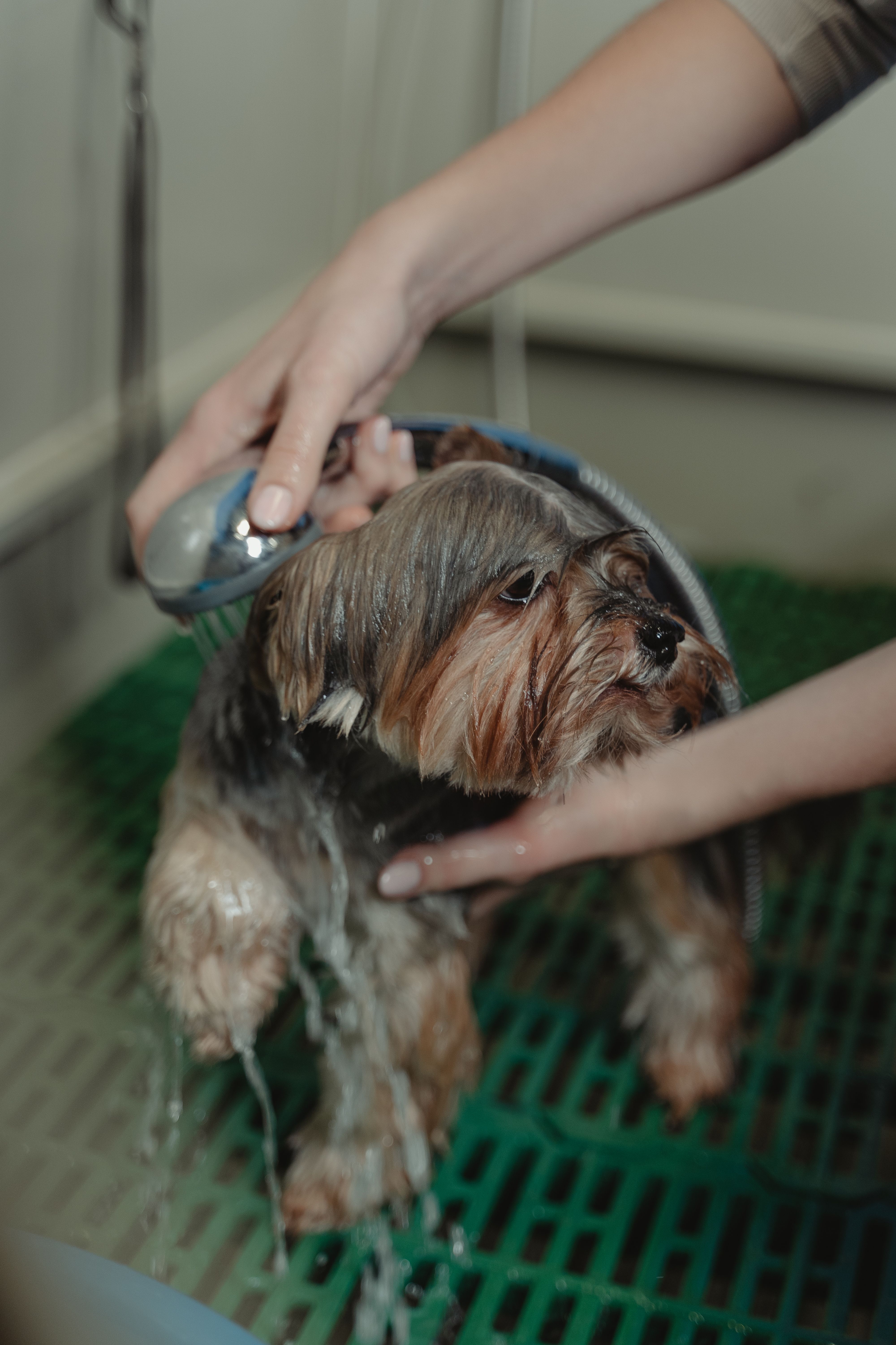 Nail trimming service